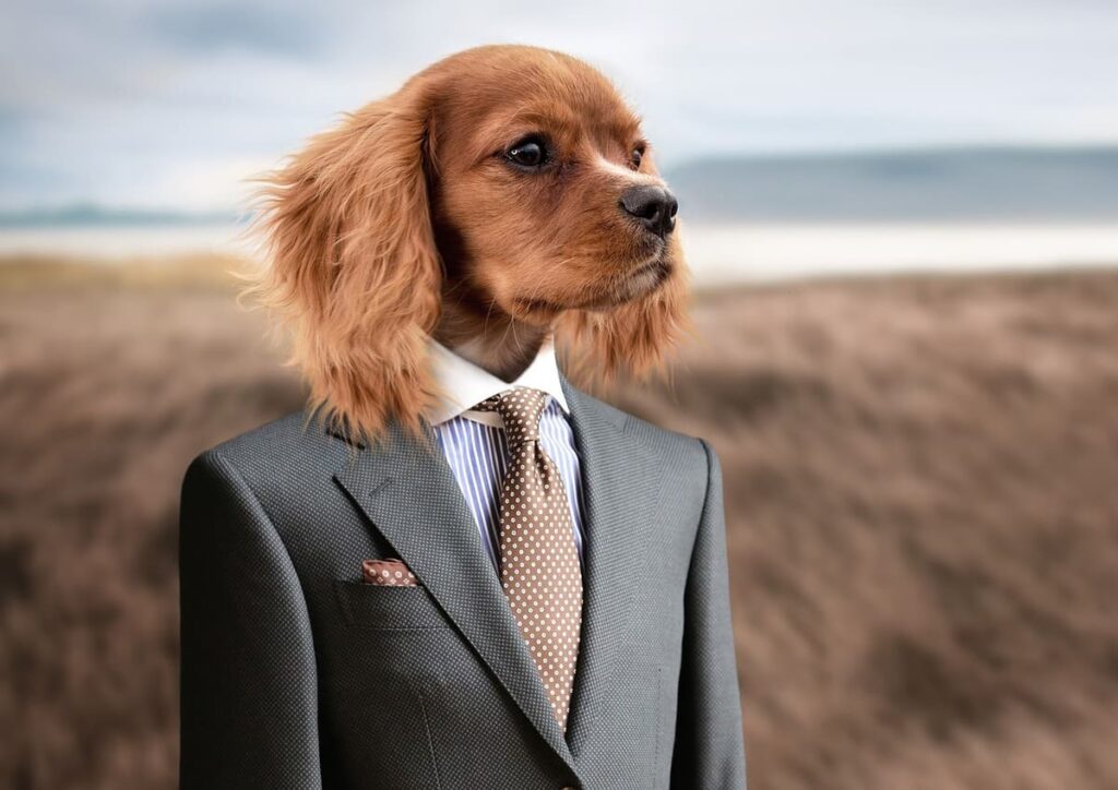 dog business man 1024x724 - 【5万円級】フリーコンサル・先行特別募集枠のご案内（期間・人数限定）