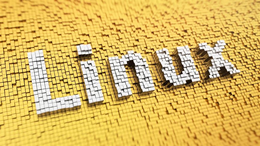 linux 容量確認